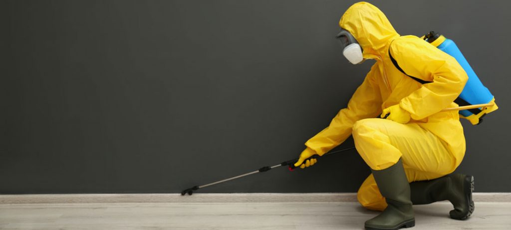 Reasons Why You Should Consider Hiring A Local Pest Control Company